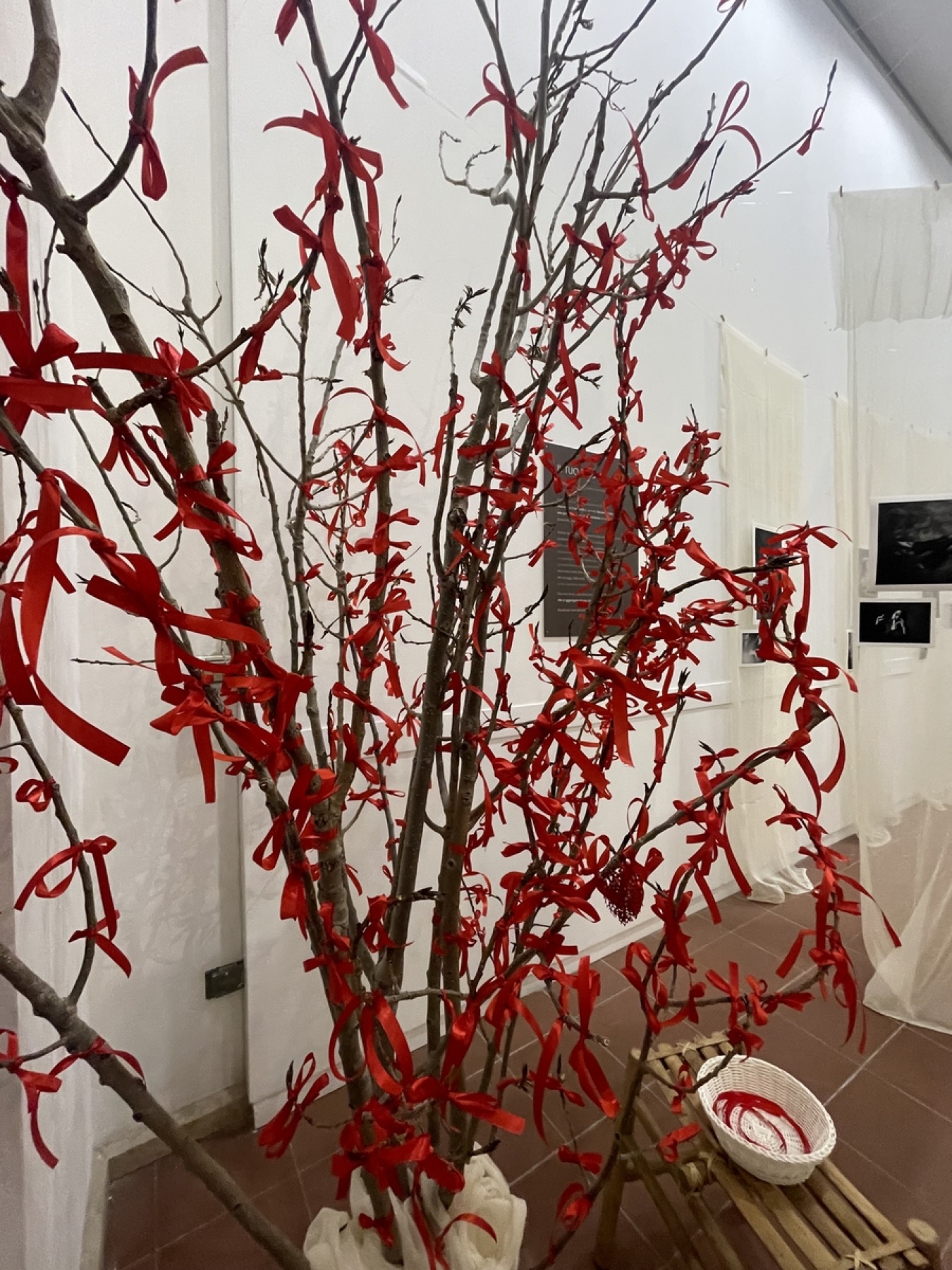 L'albero dei 667 nodi — Il Nodo di Dara